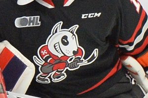 Niagara OHL players kicked out, GM handed 2-year suspension for violating league policies